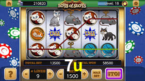 Premium Interface 7u